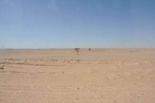 SAHARA MARATHON  2011